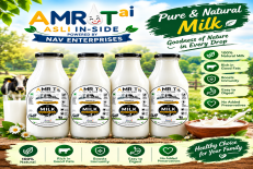 Simple Ways to Store Milk and Keep It Fresh